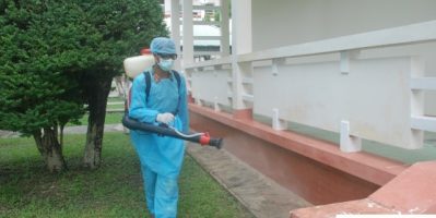 Nên sử dụng dịch vụ phun diệt muỗi chuyên nghiệp hay đèn , vợt bắt muỗi