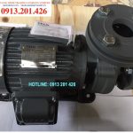 Máy bơm nước Teco 3Hp