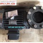 Máy bơm nước Teco 7.5Hp