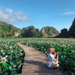 Hồ Sen Nằm Giữa Núi Non Hùng Vĩ Tại Ninh Bình
