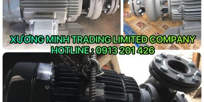 Máy bơm nước Teco 15Hp