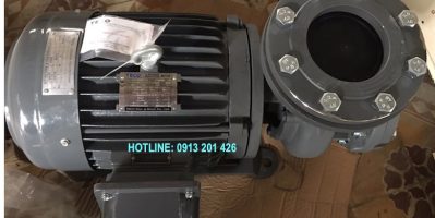 Máy bơm nước Teco 10Hp