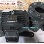 Máy bơm nước Teco 5Hp