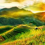 Mê mẩn trước vẻ đẹp Mù Cang Chải mùa lúa chín