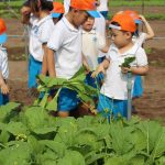 Chùm Tour Học Sinh 1 Ngày Tại Tphcm Thỏa Sức Khám Phá