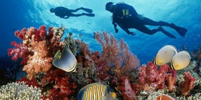 Điểm Du Lịch Hòn Mun Nha Trang Có Gì?