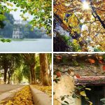 Review kinh nghiệm du lịch Hà Nội tự túc: đi đâu, ăn gì, chơi gì?