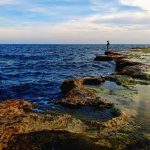 Kinh nghiệm du lịch Ninh Thuận tự túc: đi đâu, ăn gì, ở đâu…