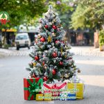 CÂY THÔNG NOEL PHỦ TUYẾT  – CÂY THÔNG TUYẾT