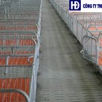 TOP 3 địa chỉ phân phối tấm đan bê tông chính hãng giá rẻ nhất hiện nay