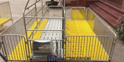TOP 5 đơn vị phân phối chuồng heo nái đẻ chính hãng giá rẻ hiện nay