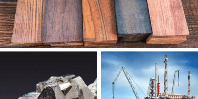 Dịch vụ XNK ủy thác Từ A-Z