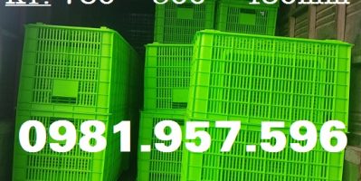 Sọt nhựa chuyển phát, sọt nhựa cho bưu điện, sọt nhựa kéo hàng