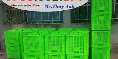 Sọt nhựa 5 bánh xe,sọt nhựa,rổ nhựa 5 bánh,sọt nhựa kéo hàng