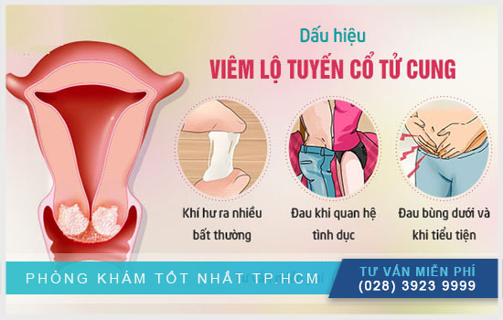 Ảnh 1