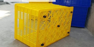 Sọt nhựa 5 bánh xe, sọt nhựa đựng hoa quả