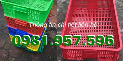 Thùng nhựa lỗ, thùng nhựa rỗng cao 15cm, thùng nhựa hở