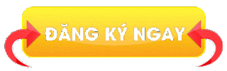 Ảnh 1