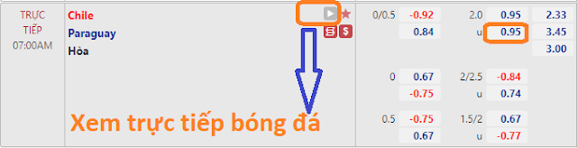 Ảnh 1
