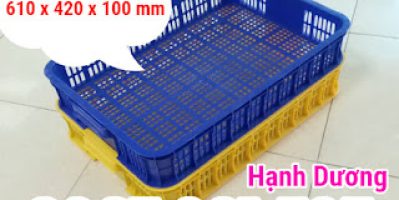 Sọt nhựa cao 10cm, sọt HS010, sọt nhựa đựng hoa quả trong siêu thị