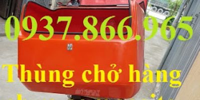 Thùng chở hàng có mút cách nhiệt, thùng giao đồ ăn nhanh, thùng chở hàng sau xe máy,thùng sau xe máy