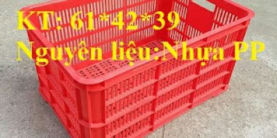 Sọt nhựa rỗng dùng trong nhà máy chế biến nông sản, sóng nhựa, khay nhựa, sọt nhựa đựng đồ đông lạnh