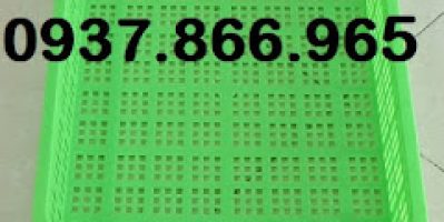 Sọt nhựa đựng rau củ trong cửa hàng nông sản, sóng nhựa rỗng, khay nhựa hở, sọt nhựa đựng hải sản