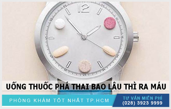 Ảnh 1