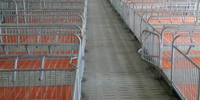 Đan bê tông giá rẻ tại Hà tĩnh mua ở đâu ?