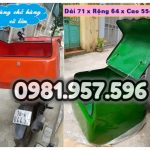 Thùng chở hàng lớn 71x64x55cm, thùng giao hàng lớn sau xe máy