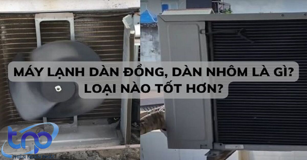 Ảnh 1