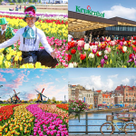 Du lịch hè Hà lan 2024 tới đất nước xinh đẹp