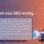 Dịch vụ Social Entity
