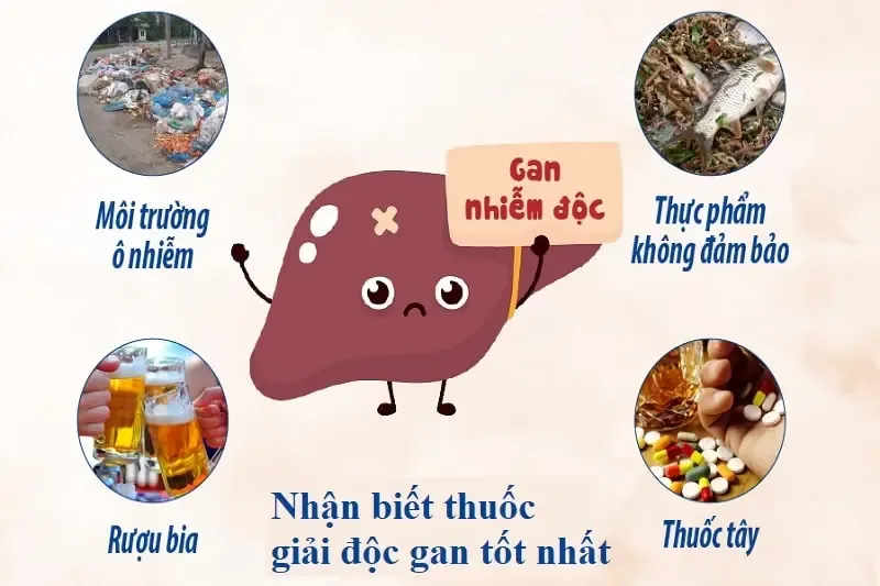 Ảnh 1
