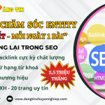 Dịch vụ chăm sóc entity – Bổ trợ SEO web (Tối ưu website – 0907886787)