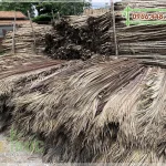 Đại lý bán lá dừa nước lợp nhà chất lượng giá rẻ tại TPHCM
