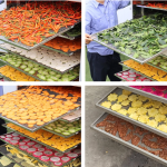 Cách vệ sinh máy sấy thực phẩm ngay tại nhà