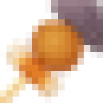 BBQ & Camping giữa thiên nhiên xanh mát tại Vó Sông Farm!