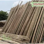Cung cấp cây tre khô trang trí giá rẻ chất lượng tại TPHCM