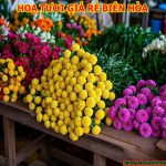 Hoa tươi giá sỉ tại Phường Tam Hiệp, Thành Phố Biên Hòa, Tỉnh Đồng Nai