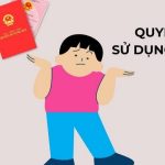 Tìm hiểu luật đất đai: Quy định, quyền lợi và thủ tục cần biết