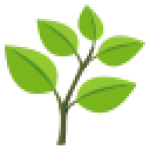 Nâng Tầm Yêu Thương – Khóa Học Chăm Sóc Người Cao Tuổi