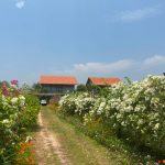 Tour Hồ Tràm 2 Ngày 1 Đêm – Kỳ Nghỉ Sang Trọng Giữa Rừng Và Biển