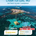 Hãng hàng không Vietnam Airlines khuyến mãi vé máy bay đến Perth