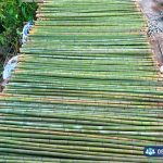 Xưởng tre trúc uy tín và lâu đời tại TPHCM