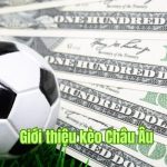 Kèo Châu Âu Là Gì? Cách Đọc Cực Chuẩn