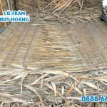 Cung cấp lá dừa nước lợp nhà giá rẻ tại TPHCM