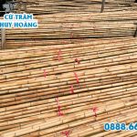 Xưởng tre trúc nguyên liệu giá rẻ chất lượng tại TPHCM
