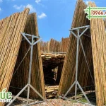 Xưởng bán tre trúc uy tín và lâu đời tại TPHCM