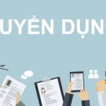 Tuyển dụng logistics – Cơ hội việc làm hấp dẫn trong ngành vận tải và chuỗi cung ứng